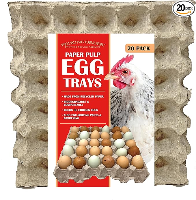 Paper Pulp Egg Trays - 20 Pack