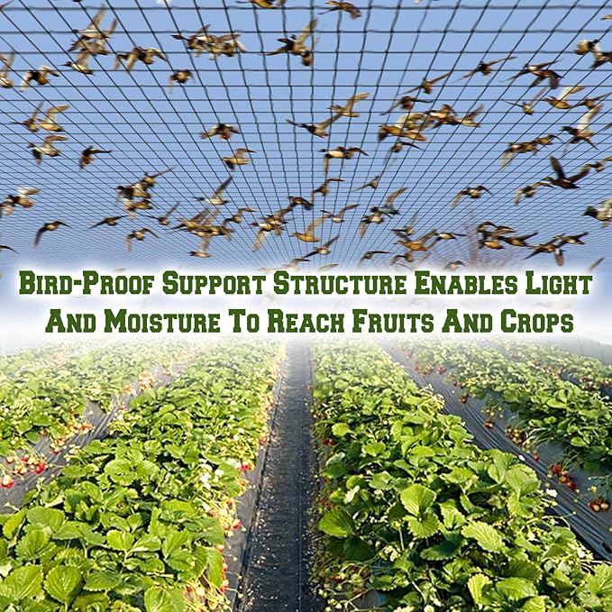 BenefitUSA Stronger Bird Netting Fruit Tree Protective Net Bird Net Pens Avaiary Game Poultry Mesh Black (28' X 28')