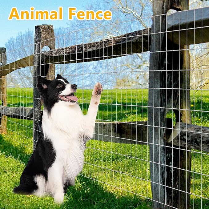 Metal Garden Fence, Hot Dip Galvanized After Welding, 2"x4" 14 Gauge, 48inch H x 100ft L Welded Wire Fencing,2/3/4/5/6ft Tallx50/100 ft Long Hardware Cloth for Yard,Farm,Chicken,Dog,Vegetable Protect