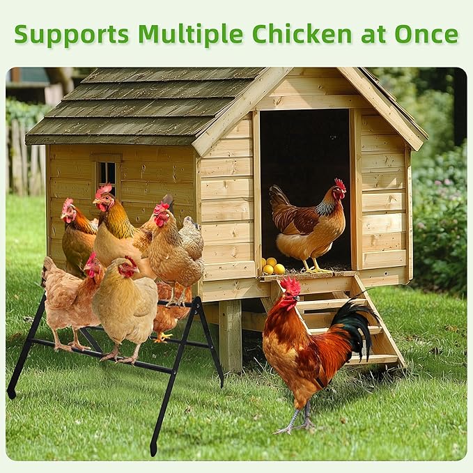 Chicken Roosting Bars for Coop - 3-Tier Heavy-Duty Metal Perch - 2026 Large Adjustable Training Ladder for Hens - High Weight Capacity, Weather-Resistant, No-Tool Assembly