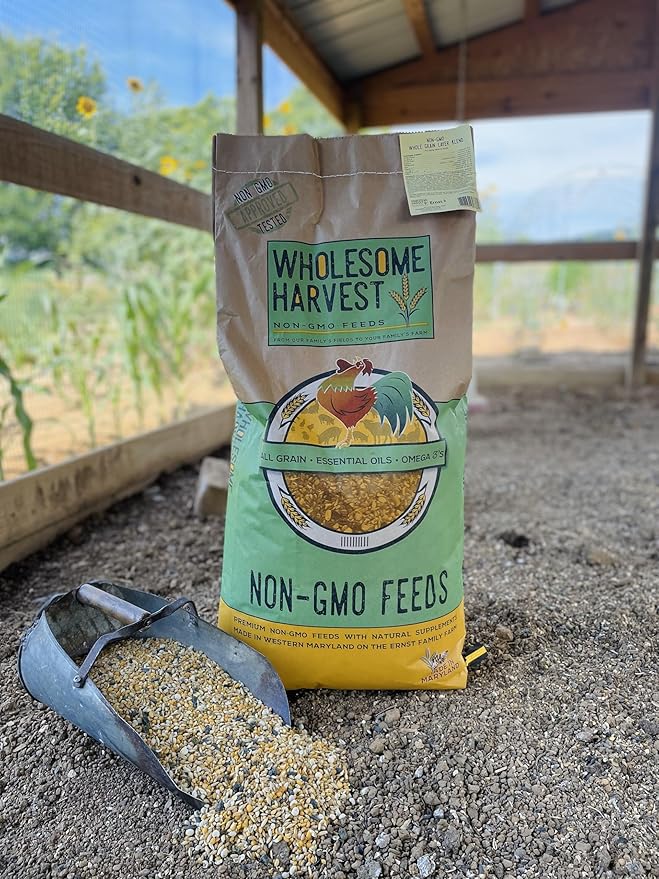 Non-GMO 40 lb Turkey Feed - Natural Peacock, Game Bird & Bird Feed, 24% High Protein Complete Food with Essential Oils, Herbs, Vitamins & Probiotics Formula for Healthy Flock Growth