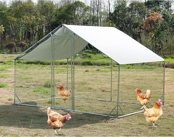 Large Metal Chicken Coop Walk-in Poultry Cage Hen Run House Habitat Spire Shaped Cage with Waterproof and Anti-Ultraviolet Cover for Outdoor Backyard Farm Use (6.5’ L × 9.84’ W)