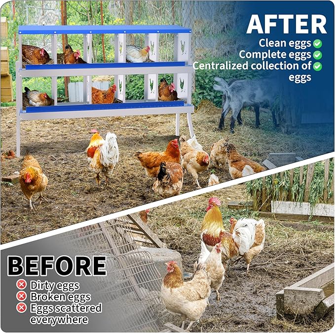 Chicken Nesting Box with Removable Tray,10 Compartment Nesting Boxes for Chickens,Easy to Clean and Install,Durable Chicken Laying Boxes for Chicken Coop,Protects Eggs-with Bracket Legs (Blue)
