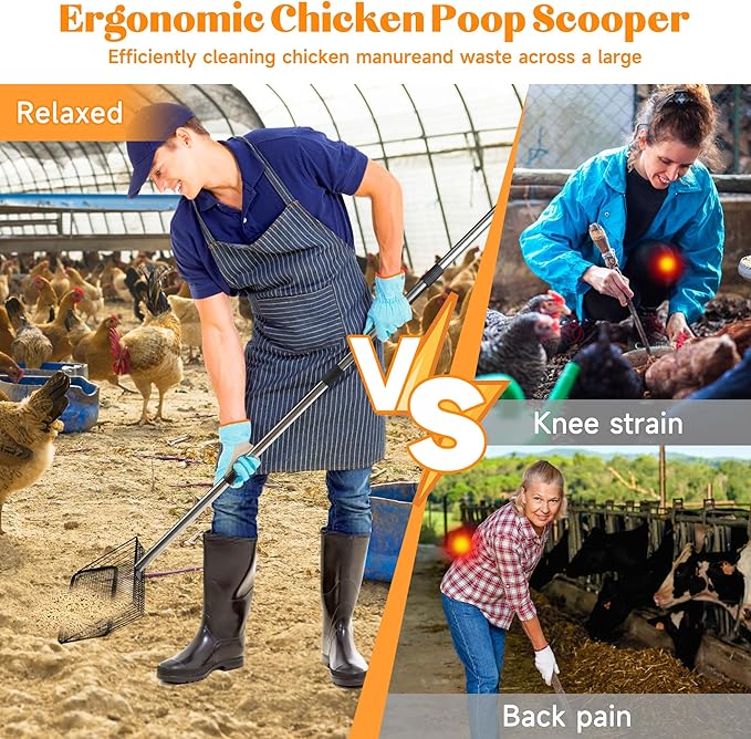 4-in-1 10" Large Chicken Poop Scooper with Gloves,Sifting Shovel Rake,Henhouse Cleaning Tool,Adjustable Long Handle (22.4-62") Litter Scoop,Stainless Steel Poop Shovel for Farm,Goat Stall Accessories