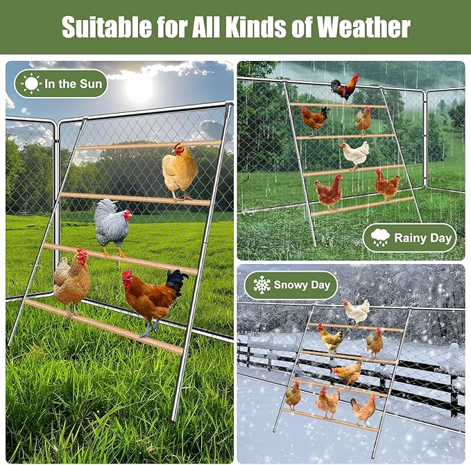 Chicken Coop Roosting,Chicken Roosting Bars for Chicken Coop,Backyard Chicken Raising Poultry Habitat Supplies, Wooden Easy Assembly for Backyard Poultry (55' L x 40' W)
