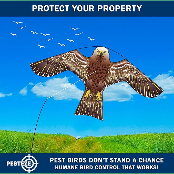 PESTEZE USA Hawk 47x27 Inch Kite with 13 Ft Flagpole. Provides Humane Bird Deterrence in Yards & Farms. Protects Vegetables, Fruits & Crops from Pest Birds & Critters