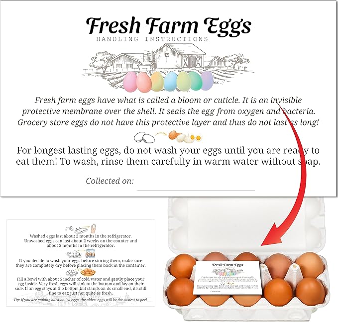 100pcs Premium Fresh Farm Eggs Handling Care Instructions Accessories Cards Labels | 4 6 12 15 18 30 48 50 Egg Blank Cartons Basket Box Container Storing Extra Organizer (M01-1CH)