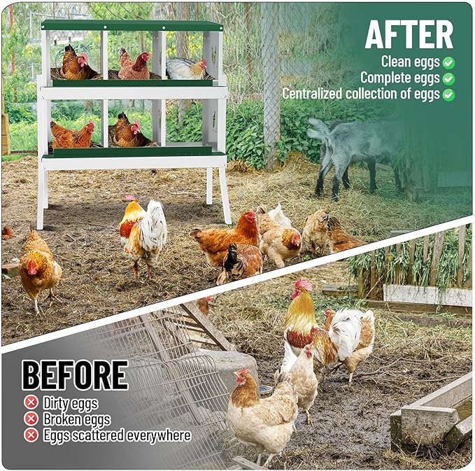 6-Compartment Metal Chicken Nesting Box - with Perch, Secure Lid & Metal Legs, Wall-Mount or Free-Standing Nesting Boxes for Hens