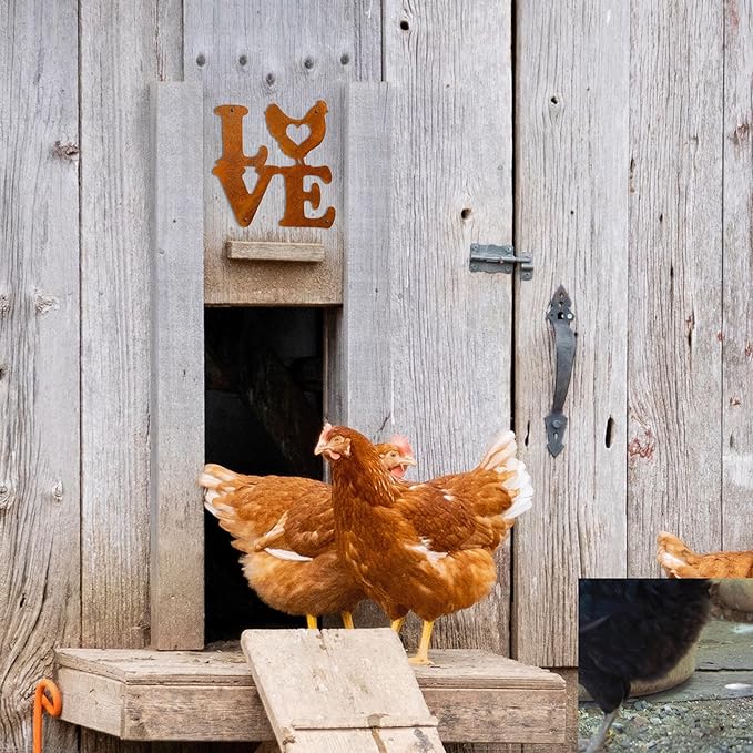 Rustic Chicken Coop Decor - Wall Hanging Art - Chicken Coop Signs - Farmhouse Style - Outdoor Wall Decor - Kitchen Decor