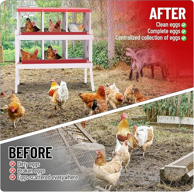 Metal Chicken Nesting Box, 6 Compartments, Rollout Egg Collection, Large Vented Holes, Perch Included, Wall Mount or Free Standing Laying Box for Hens and Chickens - Red with Legs