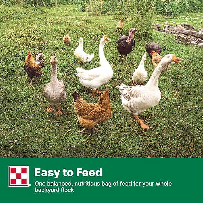 Purina Animal Nutrition Purina Flock Raiser Pellets 50lb