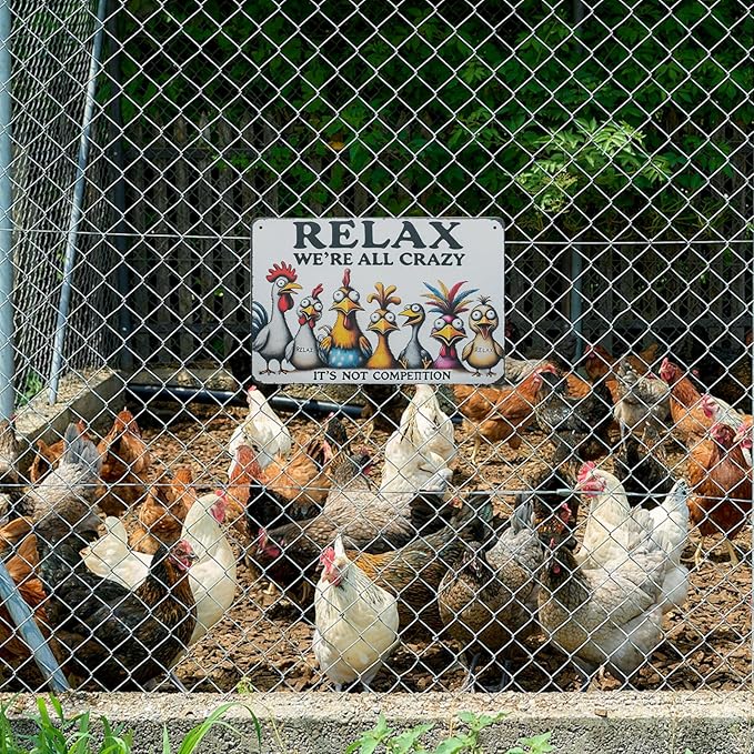 Funny Tin Signs Chicken Coop Decor Outdoor Vintage Rooster Gifts Yard-signs Decorative Signage For Farm and Garden 8×12 inches (K)