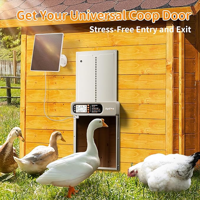 Automatic Chicken Coop Door Solar Powered with Timer, Light Sensor, Remote Control, Anti-Pinch, Waterproof, Aluminum Coop Door, 4 Auto Modes, Comfort Larger Size Duck Chicken Turkey House Door