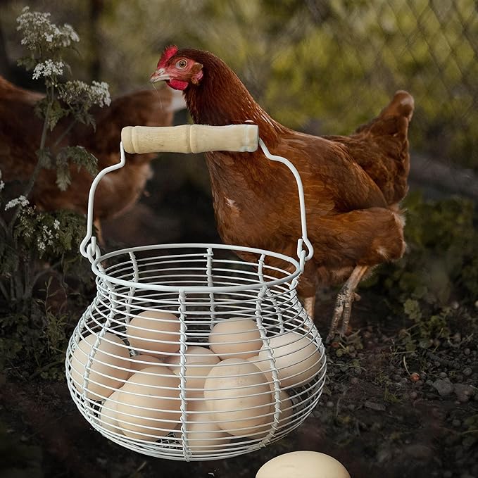 LINCOUNTRY.Chicken Egg Basket for collecting Eggs,Farmhouse Wire Egg Basket for Gathering Fresh Eggs with Handle Vintage Cream Metal Basket for Countertop Kitchen Storage