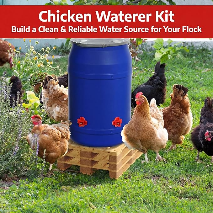 12 Pcs Horizontal Chicken Waterer Nipples with Drill Bit, Leakproof Chicken Water Nipple, Durable ABS Plastic & Stainless Steel Poultry Watering Nipples for Coop Outdoor Use