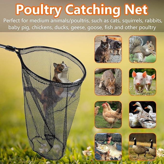 Catch Net Small Animal Control Net Poultry Catching Trap Tool for Cat, Chicken, Duck, Goose, Fish, Bird and Others (43~78" Telescoping Handle with 20.5" Net Opening)