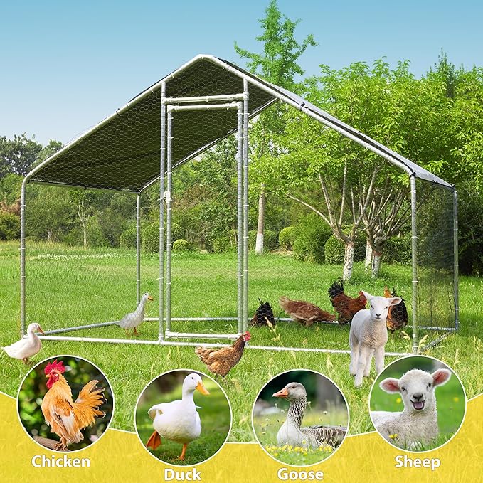 Large Metal Chicken Coops 6.4Lx9.84Wx6.6H FT for 8/10/16 Chickens with Run, Walk in Chicken Run Chicken Pen with Cover and Feeding Door, Spire Poultry Cage Hen House for Yard with Cover