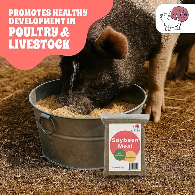 Soybean Meal for Poultry & Livestock – 2 lb Non-GMO High Protein Animal Feed – All-Natural, Plant-Based Supplement for Chickens, Goats, Pigs – No Additives, Supports Growth & Egg Production