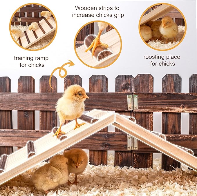 Chick Supplies, Chick Perch & Chicken Roost, Chick Stand Training Perches, Roosting, Wooden Chick Ramp Trainer, Chick Toys for Brooder, No Assemble, Coop Accessories for Chick, Hens, Small Animal