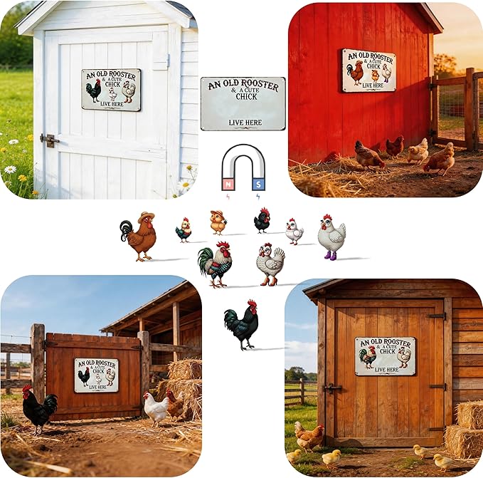 DIY Magnetic Attraction Design,Funny Chicken Tin Sign | chicken decor | Farmhouse Wall Decor, Rooster Kitchen & Bathroom Art,Metal Signs,Funny Gifts,12 * 8 Inch (Dark Grey)