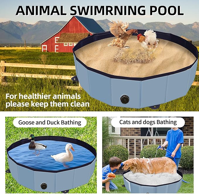 Chicken Dust Bath Tub, Chicken Coop Lime Cleaner Container, 32" D X 8" H PVC Material Foldable Portable Essential Chicken Coop Dusting Accessory. (Blue)