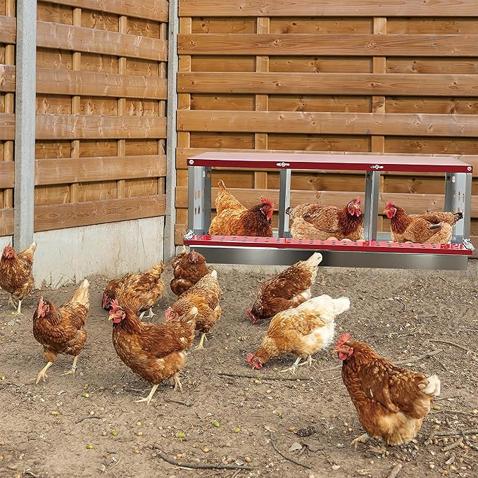 XINYI Chicken Nesting Boxes for Laying Eggs, Metal Coop for 3 Chickens,Roll Away Nesting Boxes,Easy Egg Collection, Brooder Box for Rabbit, Squirrel, Parakeet, Owl, Cockatiel, Robin