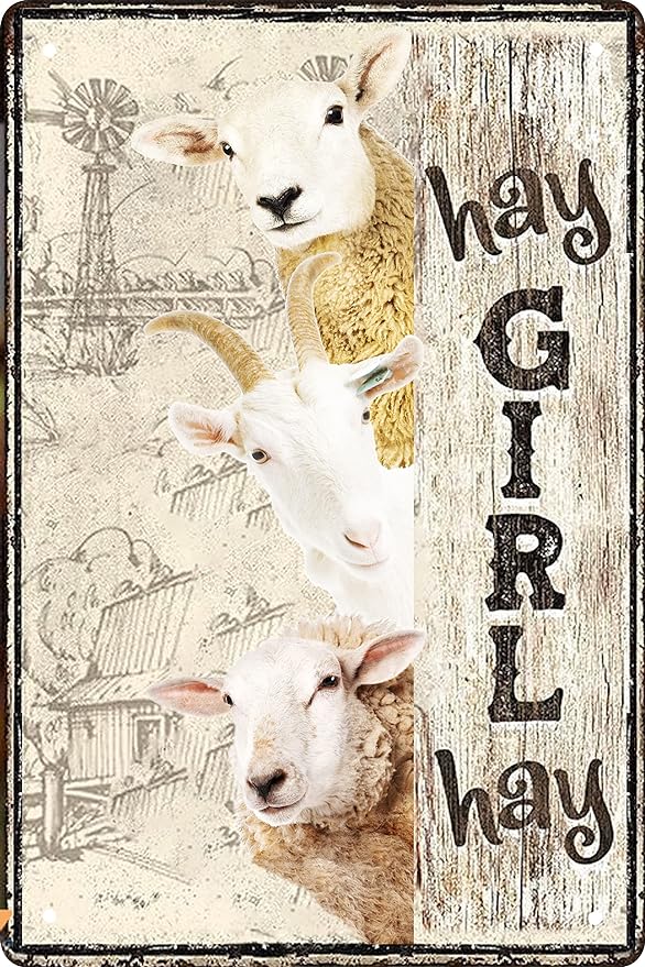 Vintage Goat Decor Gift Metal Tin Sign for Retro Farm Home Kitchen Room Farmhouse Garage Coffee Bar Wall Decor Art Poster Gifts - Hay Girl Hay - 8x12 in