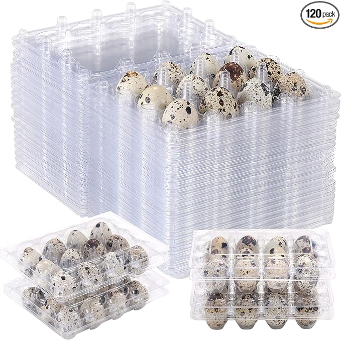 120 Pcs Quail Egg Cartons, Square Dozen Egg Basket, 3x4 Style Holds Up to Twelve 12 Count Small Eggs Box, Bulk Carton Pigeon Eggs Tray Container for Refrigerator