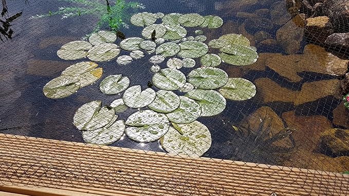 Hozelock - Pond Protection Net 2 x 3 m : Ideal for Protecting the Pond from Leaves, Large Debris and Predators: Supplied with 4 Stakes [1730 0000]