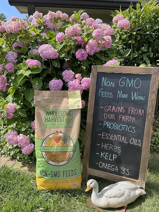 Non-GMO 10 lb Natural Gosling & Duckling Starter Feed - 22% High Protein Complete Bird Feed with Cracked Corn, Soybeans, Vitamins & Probiotics Formula for Healthy Flock Growth
