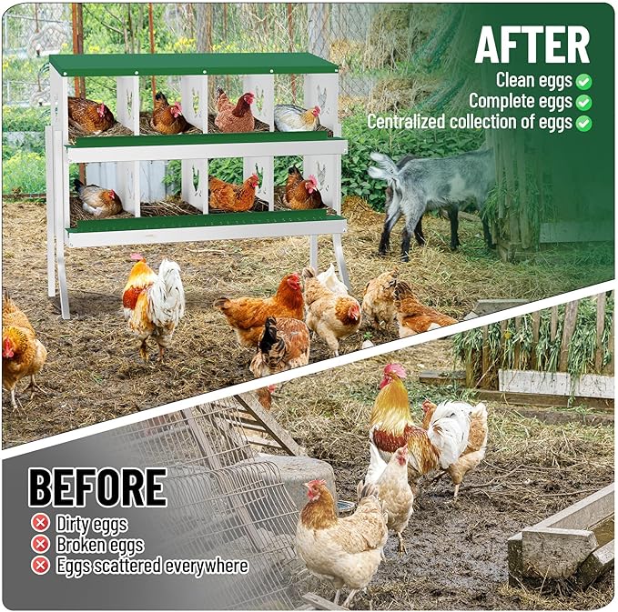 8-Compartment Metal Chicken Nesting Box - with Perch, Secure Lid & Metal Legs, Wall-Mount or Free-Standing Nesting Boxes for Hens