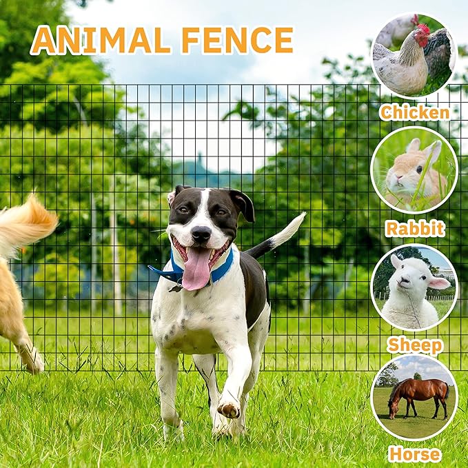 Black Metal Garden Fence, 24inch(H) x 100ft(L), 2 inch x 3 inch,14GA 2/3/4/5/6 Ft Tall Chicken Wire PVC Coated Welded Wire Mesh Roll for Dogs Border Yard Vegetable Plant Protection Poultry Netting