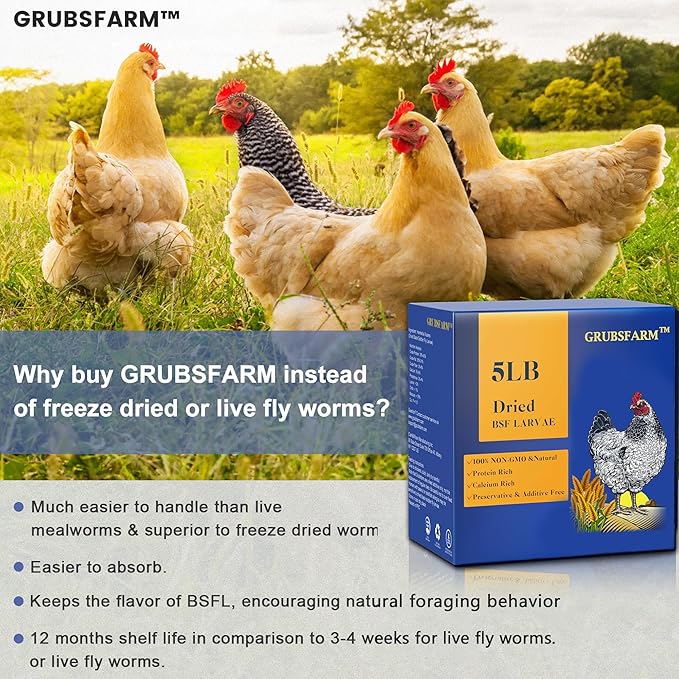 Premium Dried Black Soldier Fly Larvae for Chickens 5LBS - Superior to Mealworms - 85X More Calcium Than Meal Worms - Molting & Laying Hens Supplement - Non-GMO BSF Larvae Treats for Ducks