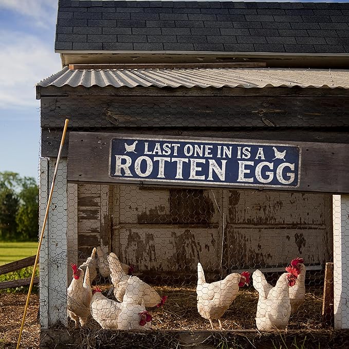 Chicken Coop Sign Last One In Is A Rotten Egg - Made In USA - Farm Décor Ranch Hen House Chicken Décor Kitchen Décor Gift 104180017008