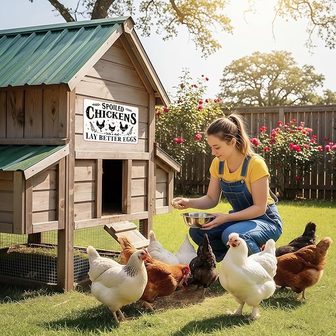Funnysign Chicken Gifts Vintage Spoiled Chicken Lay Better Eggs Tin Sign for Chicken Coop Farm Kitchen Garden Yard Decor 8x12 inch(3916)