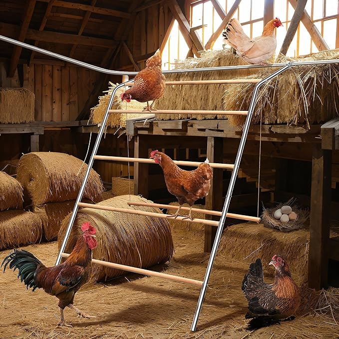 Large Chicken Roosting Bars with Swing (74.4"), Sturdy Metal Chicken Perch for Coop, Heavy Duty Jungle Gym Ladder for Hens, Entertainment Accessories & Toys for Backyard Poultry, Easy to Clean
