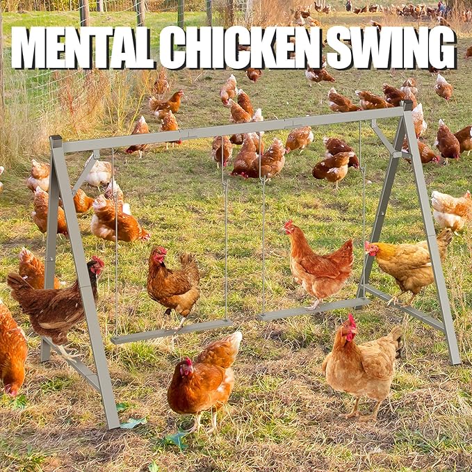 Chicken Perches with Swing, Chicken Roosting Bars for Coop Accessories, Activity Play Toys for Pet's Health & Happy