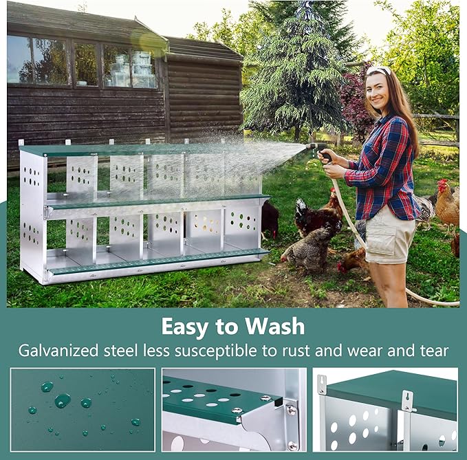 10 Compartment Nesting Boxes for Chickens with Large Vented Holes Roll Away Nesting Boxes Wall Mountable Laying Box Indoor & Outdoor Use Easy Egg Collection for Chicken Coop, Backyard, Farms, Green