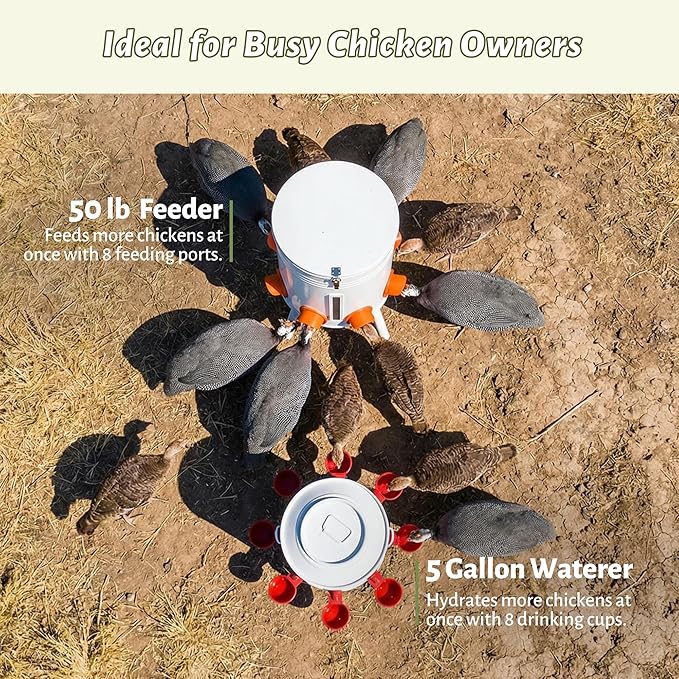 KOL 50 LB Chicken Feeder & 5 Gallon Chicken Waterer Set, All-Metal No-Waste Poultry Feeder & Automatic Gravity Waterer with 8 Ports & 8 Cups Chicken Coop Accessories