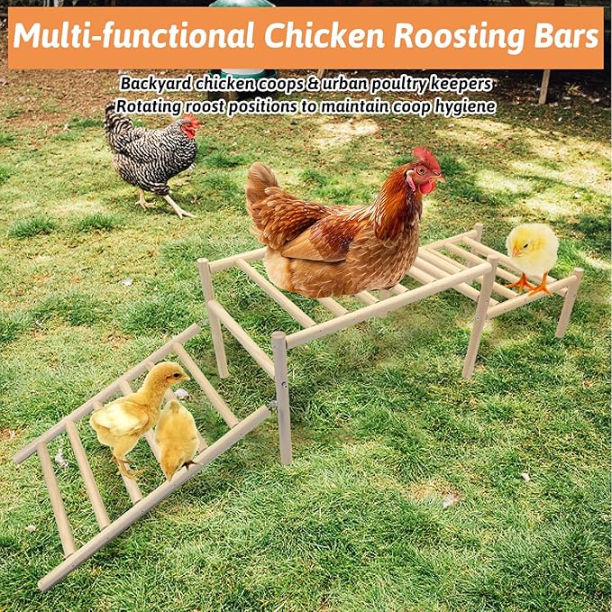 Hamiledyi Sloped Chicken Perch for Coop - Climbable Roosting Perch with Playground Design, Encourages Natural Exercise & Healthy Climbing Activity for Hens (Easy Assembly)