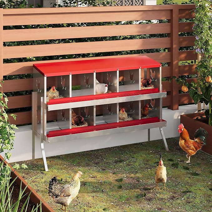 10-Compartment Metal Chicken Nesting Box - with Perch, Secure Lid & Metal Legs, Wall-Mount or Free-Standing Nesting Boxes for Hens