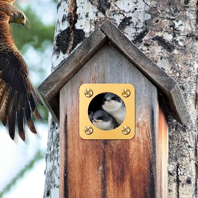AQKILO Birdhouse Predator Guard, Helping Reduce Nest Destruction and Enhance Safety for Bird Chicks, 4 Pack, 1 1/4" (1.25in)