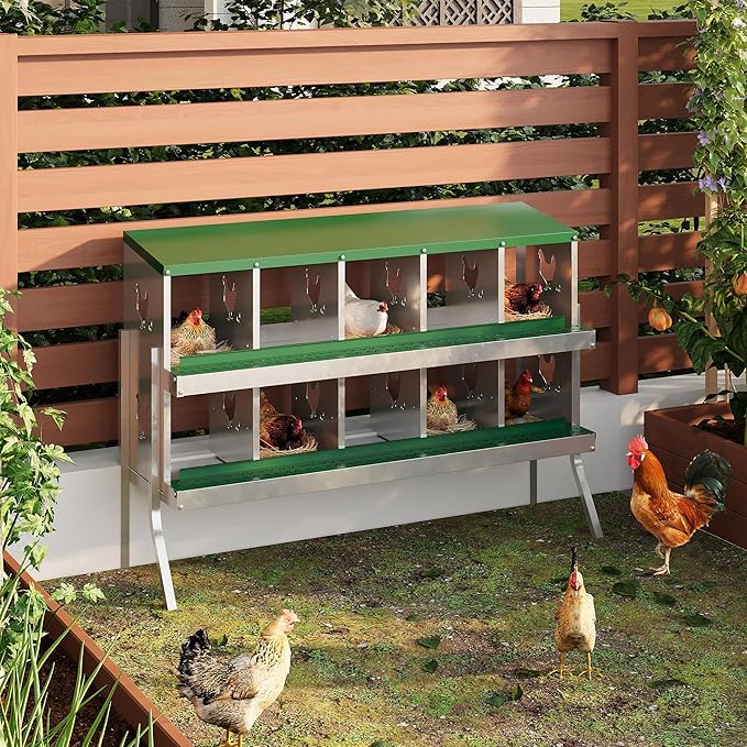 10-Compartment Metal Chicken Nesting Box - with Perch, Secure Lid & Metal Legs, Wall-Mount or Free-Standing Nesting Boxes for Hens
