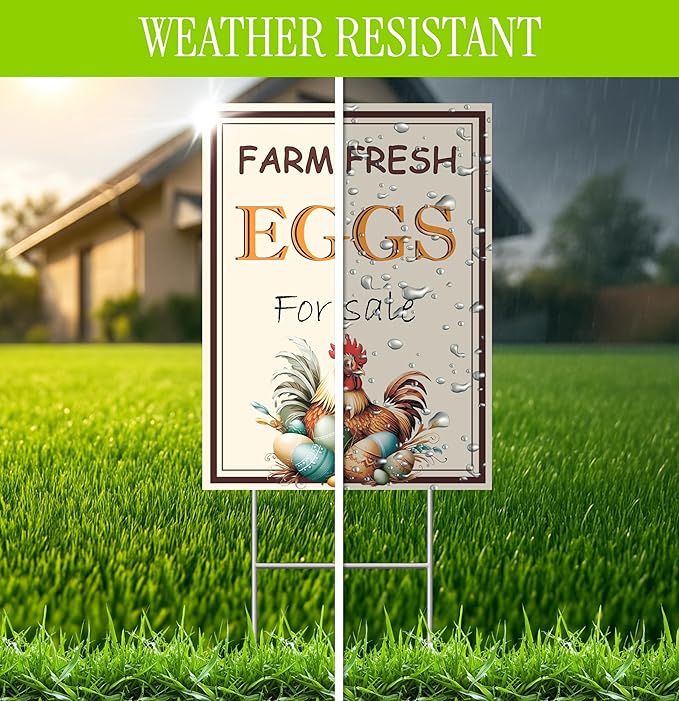 Set of 3 Double Sided 12x16 Inches Farm Fresh Eggs For Sale Sign with Metal H-Stakes - Fresh Chicken Eggs For Sale Sign - Plastic Farm Fresh Eggs Sold Here Yard Sign - Signs Chicken Coop Decoration