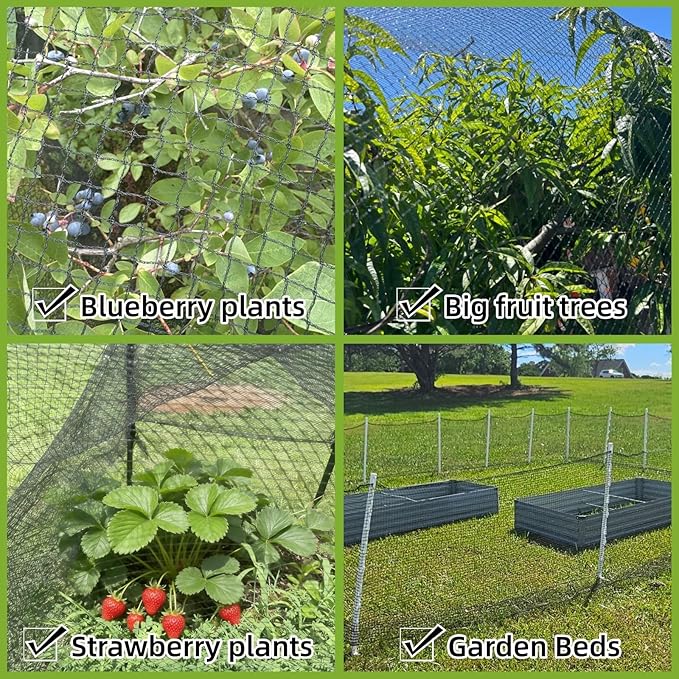 50x50ft Heavy Duty HDPE Poultry Netting,2.4" Bird Netting for Chicken Coop Run Chicken Pen,Strong Chicken Run Net Against Hawk & Predator,Tangle-Free UV Resistant (50FT)