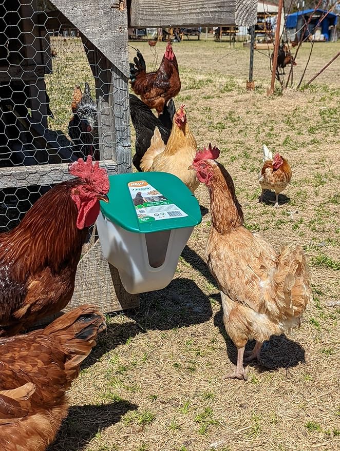 My Favorite Chicken VFeedr No Waste Hanging Poultry Feeder 5-lbs