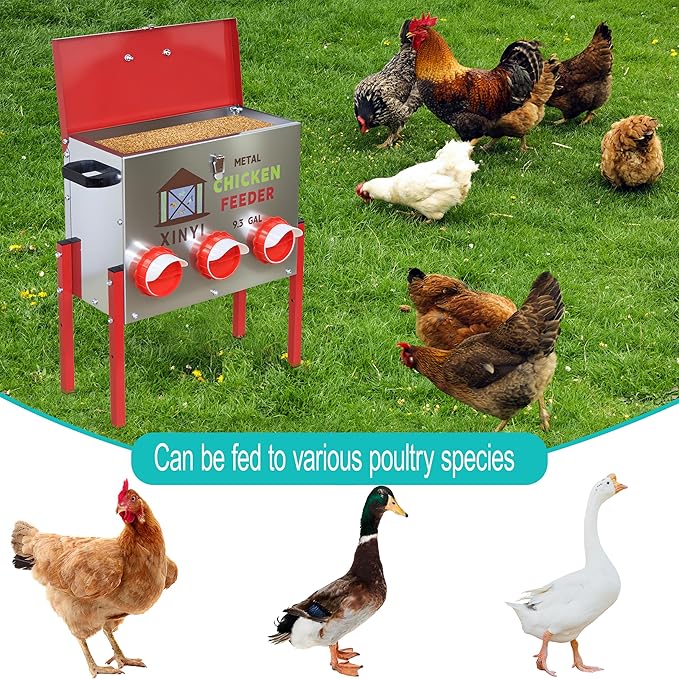 XINYI 9.3 Gallon Automatic Chicken Feeder, 6 Ports Gallon Chick Feeder No Waste with Adjustable Legs, Rodent Proof & Weatherproof Metal Raised Poultry Feeder