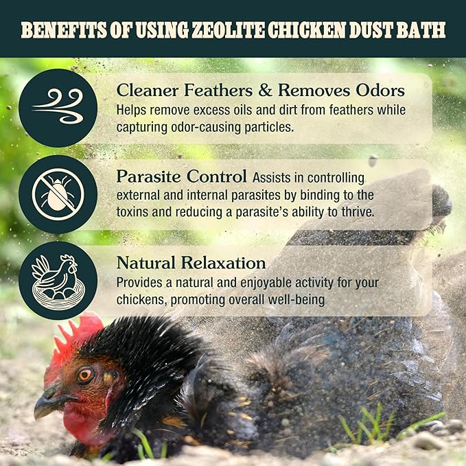 Zeolite Chicken Dust Bath, 6 lb | All-Natural Finely Milled Zeolite Dust | Natural Kraft Box Packaging | Made in The USA