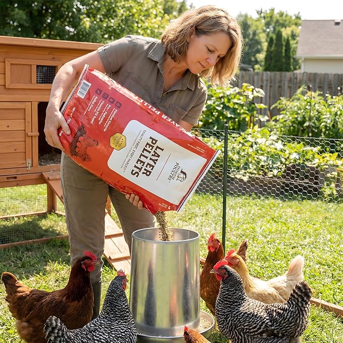 Layer Pellets Chicken Feed, 16% Protein with Pre and Probiotics for Laying Hens, Supports Digestion & Egg Production, 40 Pounds