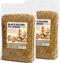 20 LB BSF Larvae – Whole Dried Insect Protein for Chickens & Poultry – Calcium-Rich Bulk Feed Supplement